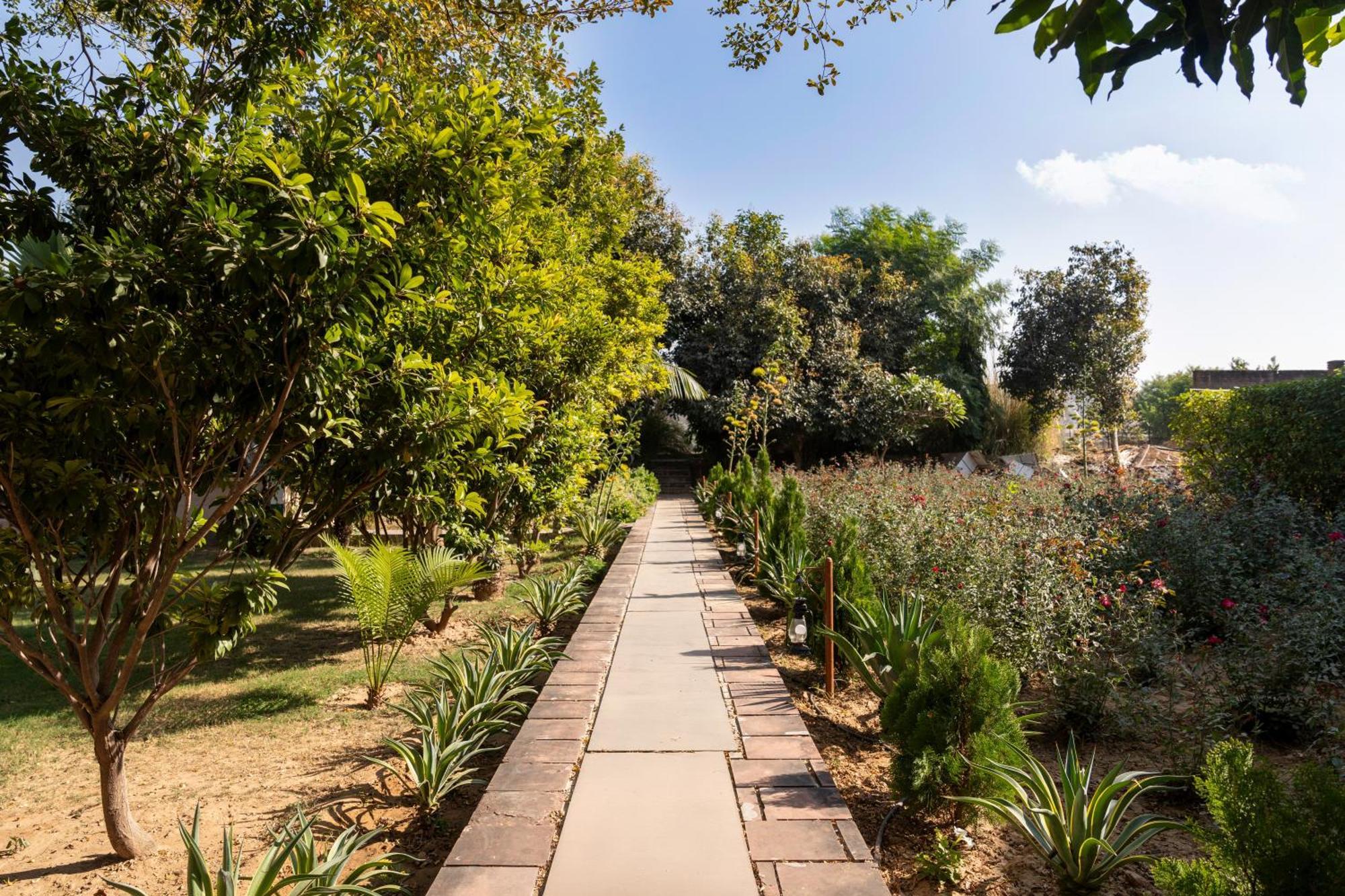 Abhyaran Resort & Spa Ranthambore Sawai Madhopur Luaran gambar